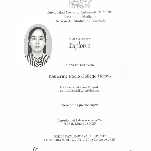 Ampliar imagen: certificate 3