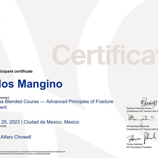 Ampliar imagen: certificate 2