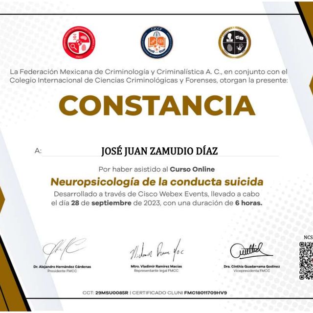 Ampliar imagen: certificate 8
