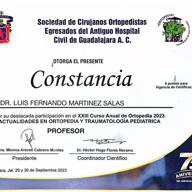Ampliar imagen: certificate 6