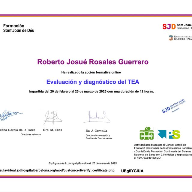 Ampliar imagen: certificate 11