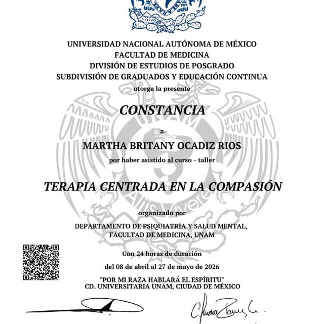 Ampliar imagen: certificate 2