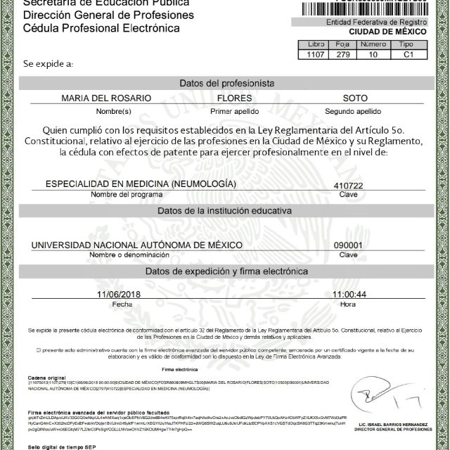 Ampliar imagen: certificate 5