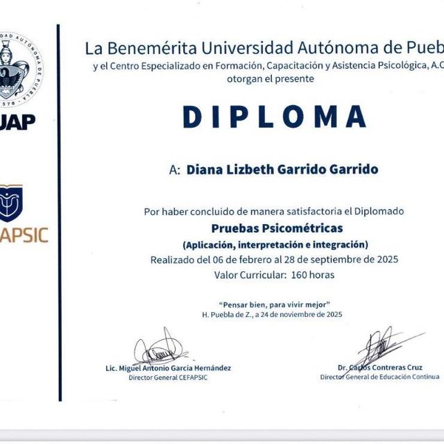 Ampliar imagen: certificate 2