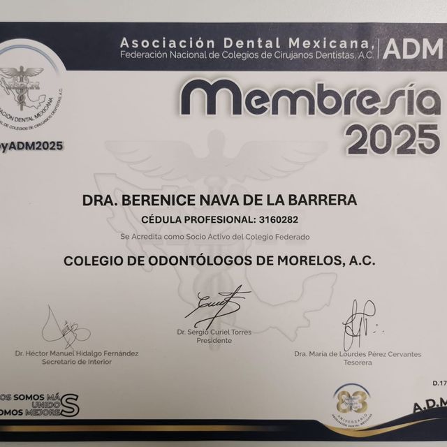 Ampliar imagen: certificate 6