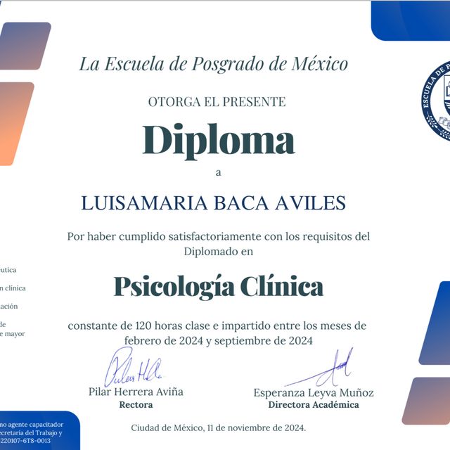 Ampliar imagen: certificate 1