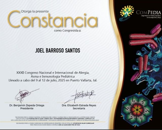Ampliar imagen: certificate 29