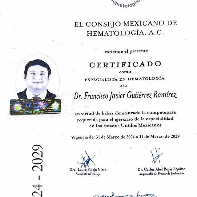 Ampliar imagen: certificate 3