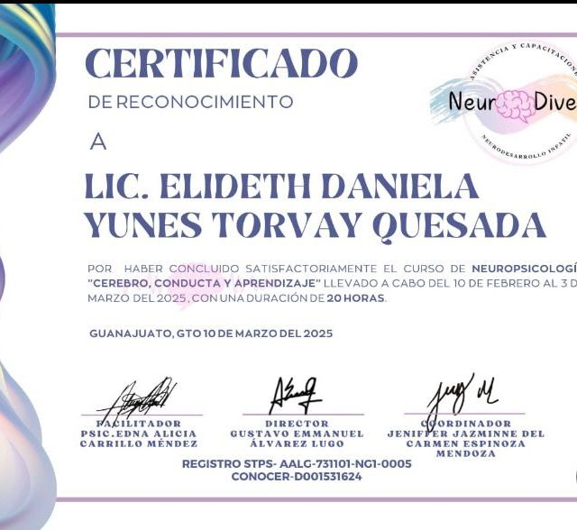 Ampliar imagen: certificate 5