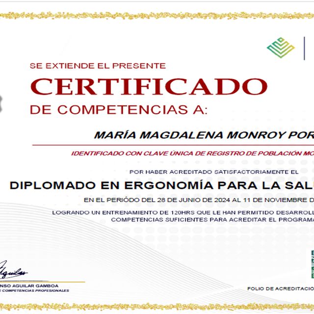 Ampliar imagen: certificate 2