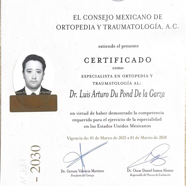 Ampliar imagen: certificate 1