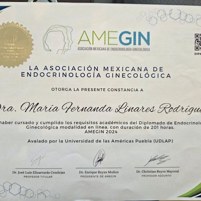 Ampliar imagen: certificate 6