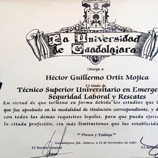 Ampliar imagen: certificate 5