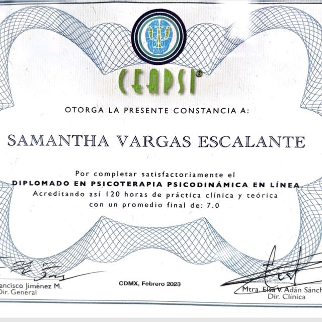 Ampliar imagen: certificate 2