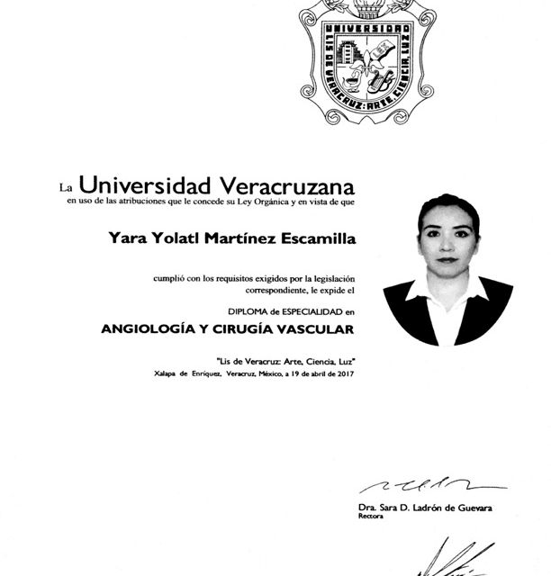 Ampliar imagen: certificate 2