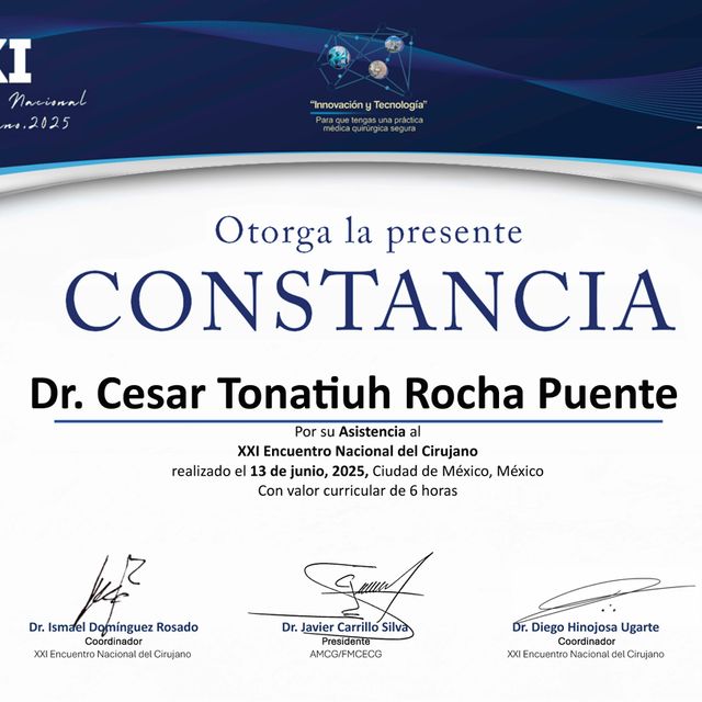 Ampliar imagen: certificate 53