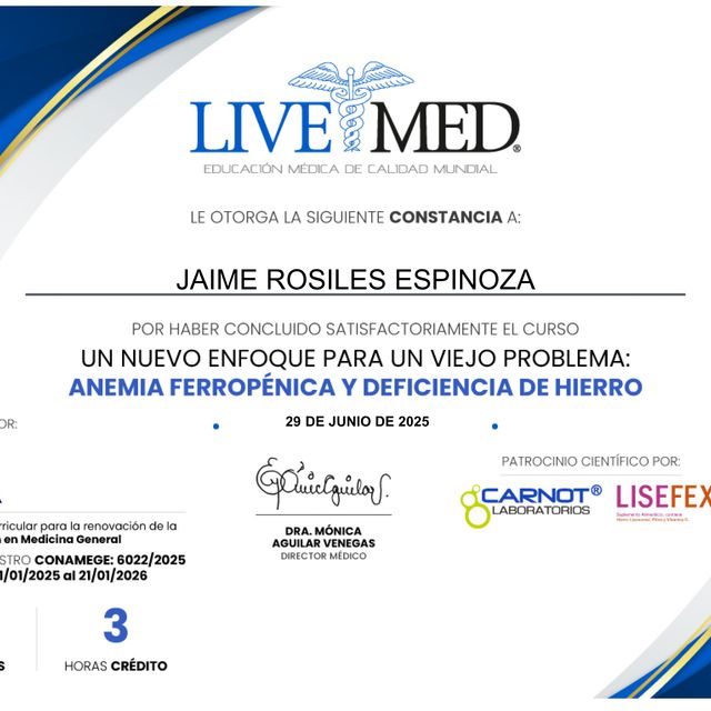 Ampliar imagen: certificate 210