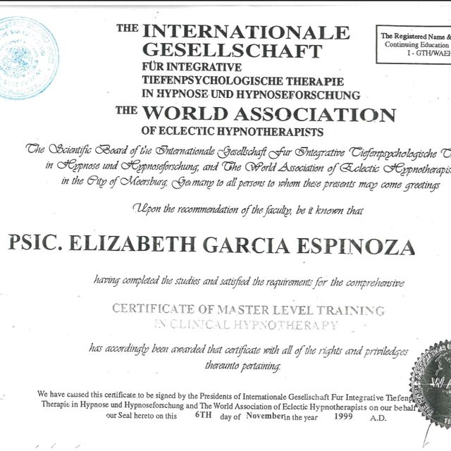 Ampliar imagen: certificate 2