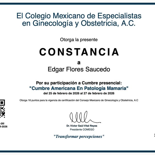Ampliar imagen: certificate 8