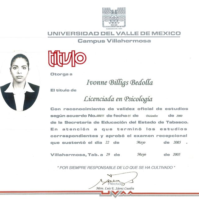 Ampliar imagen: certificate 2