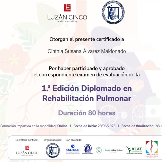 Ampliar imagen: certificate 3