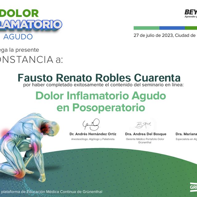 Ampliar imagen: certificate 26