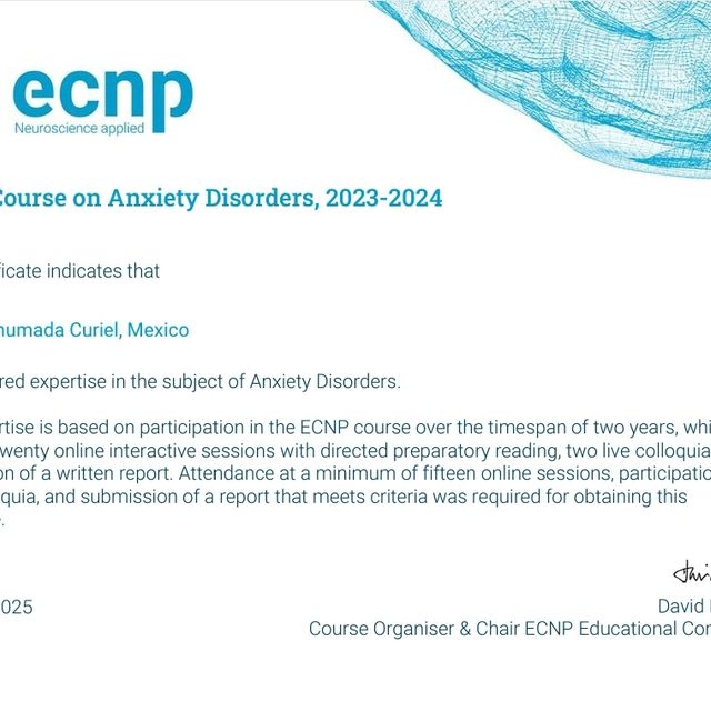 Ampliar imagen: certificate 1