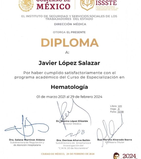 Ampliar imagen: certificate 3