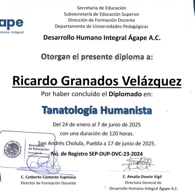 Ampliar imagen: certificate 4