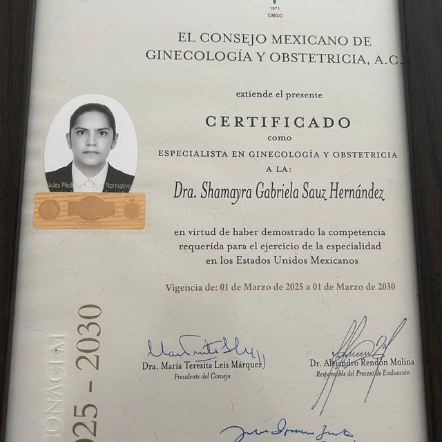 Ampliar imagen: certificate 1