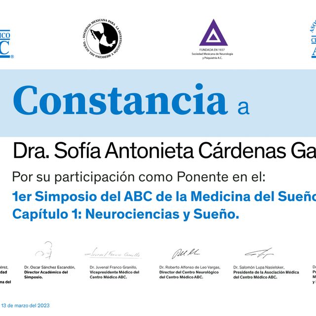 Ampliar imagen: certificate 6