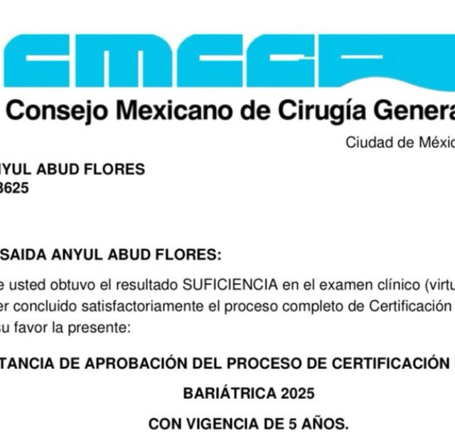 Ampliar imagen: certificate 1