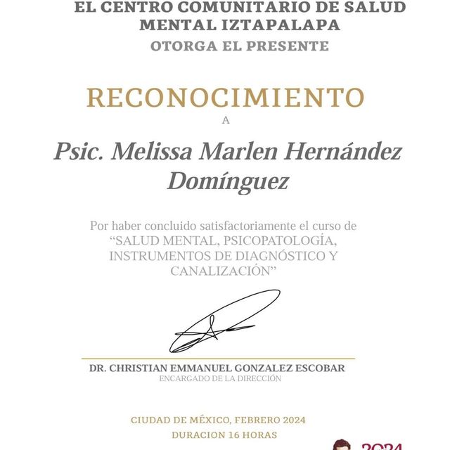 Ampliar imagen: certificate 7