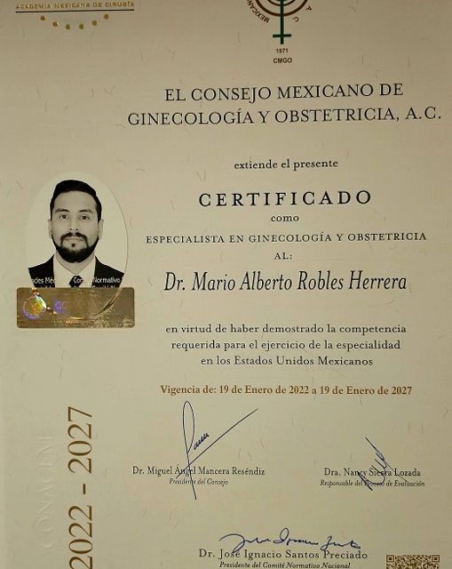 Ampliar imagen: certificate 1