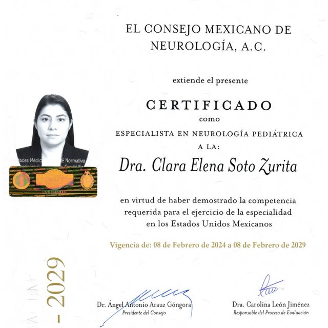 Ampliar imagen: certificate 1