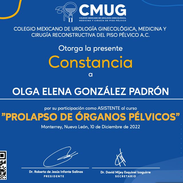 Ampliar imagen: certificate 19