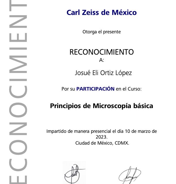Ampliar imagen: certificate 21