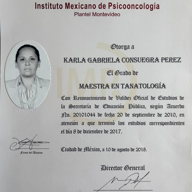 Ampliar imagen: certificate 3