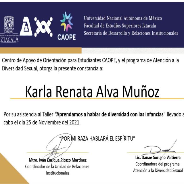 Ampliar imagen: certificate 3