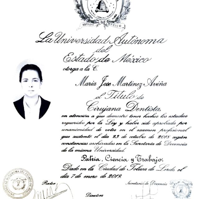 Ampliar imagen: certificate 2