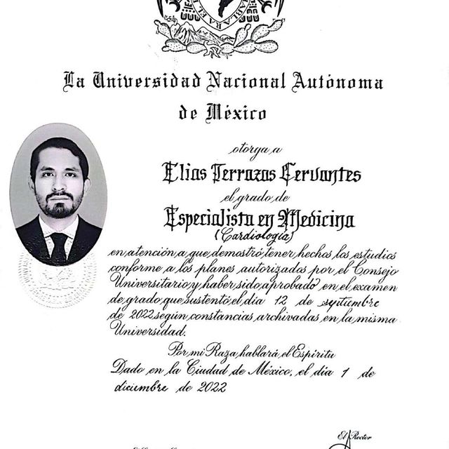 Ampliar imagen: certificate 3