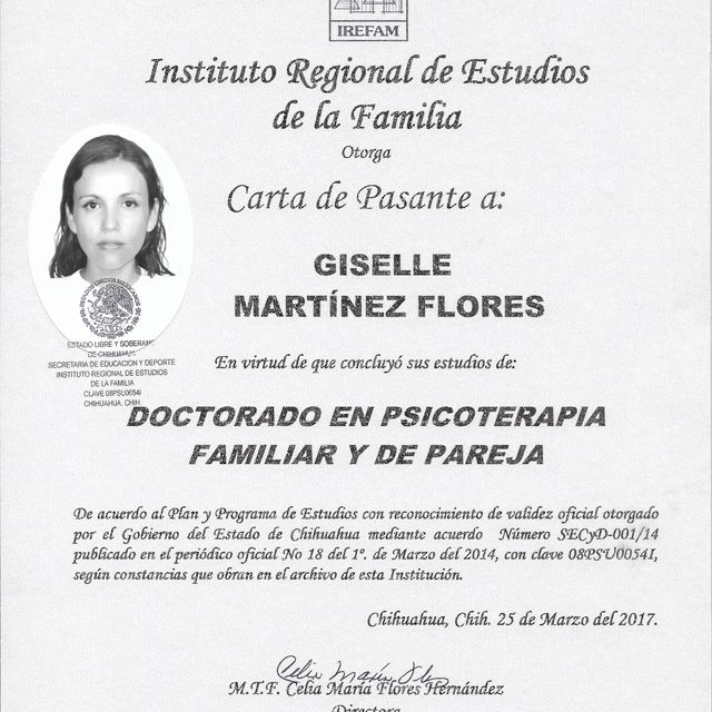 Ampliar imagen: certificate 5