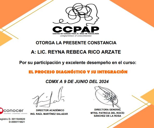 Ampliar imagen: certificate 3