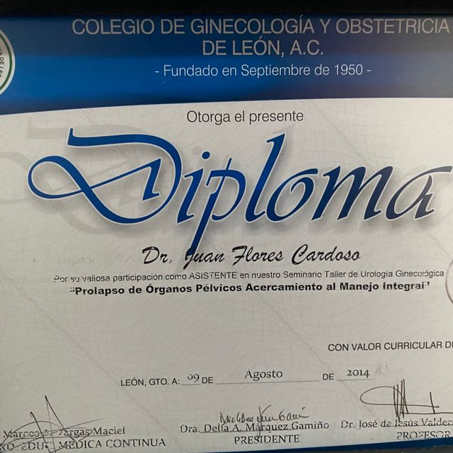 Ampliar imagen: certificate 2