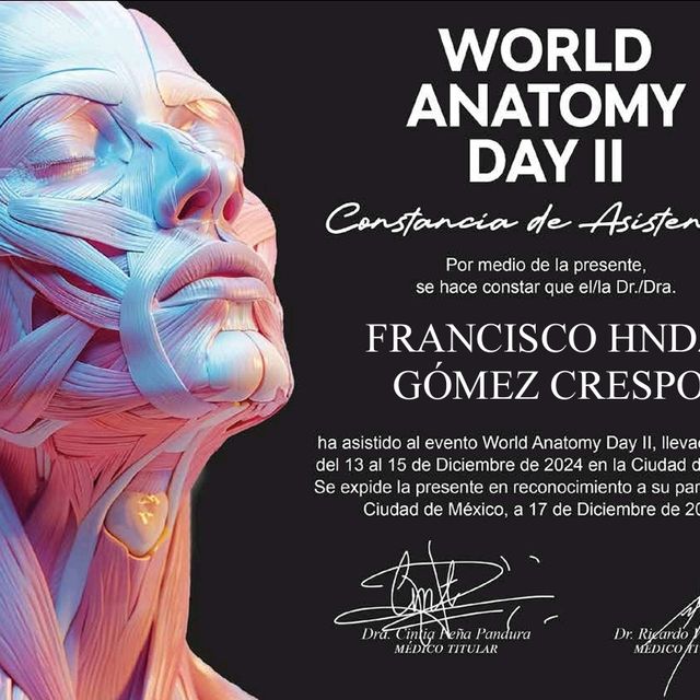 Ampliar imagen: certificate 4