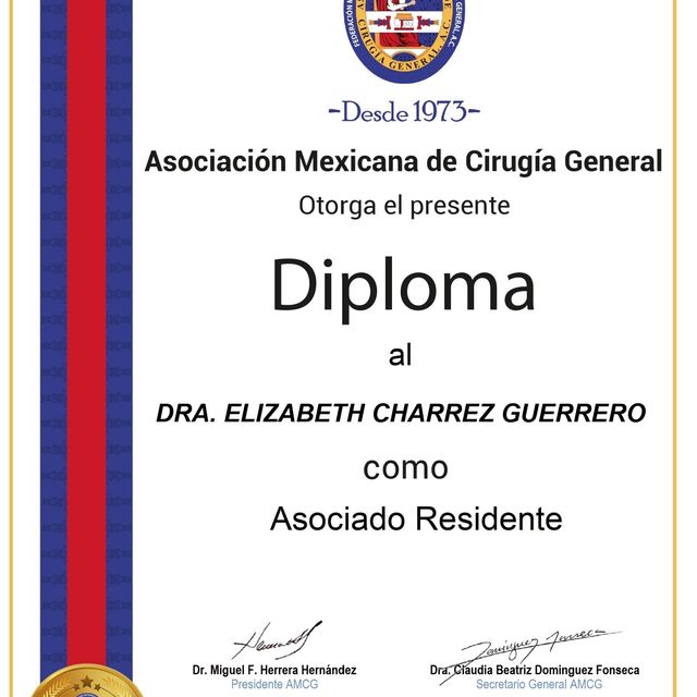 Ampliar imagen: certificate 2