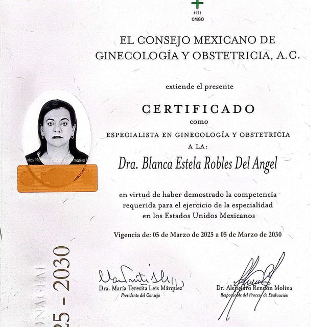 Ampliar imagen: certificate 4