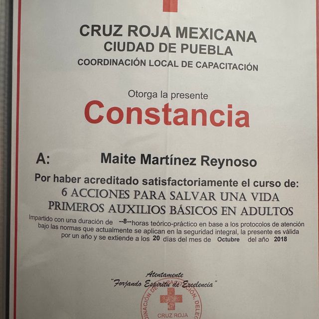 Ampliar imagen: certificate 12
