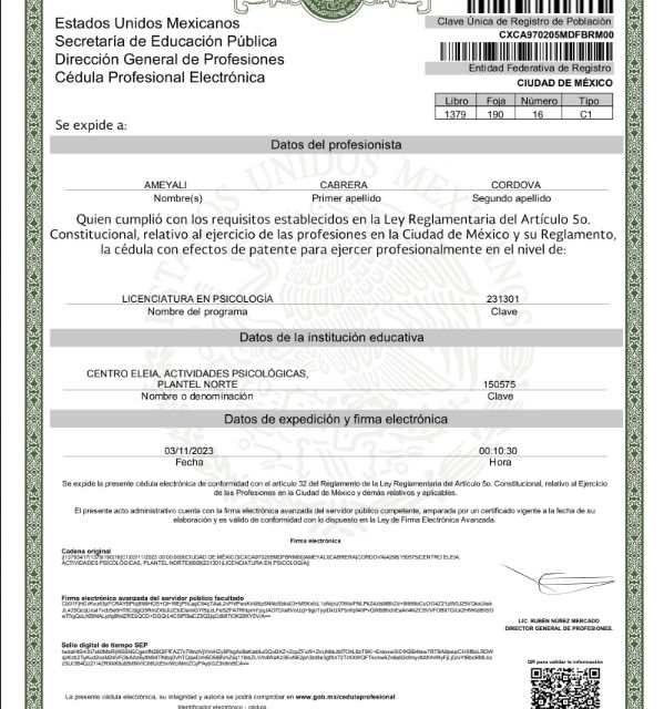 Ampliar imagen: certificate 2