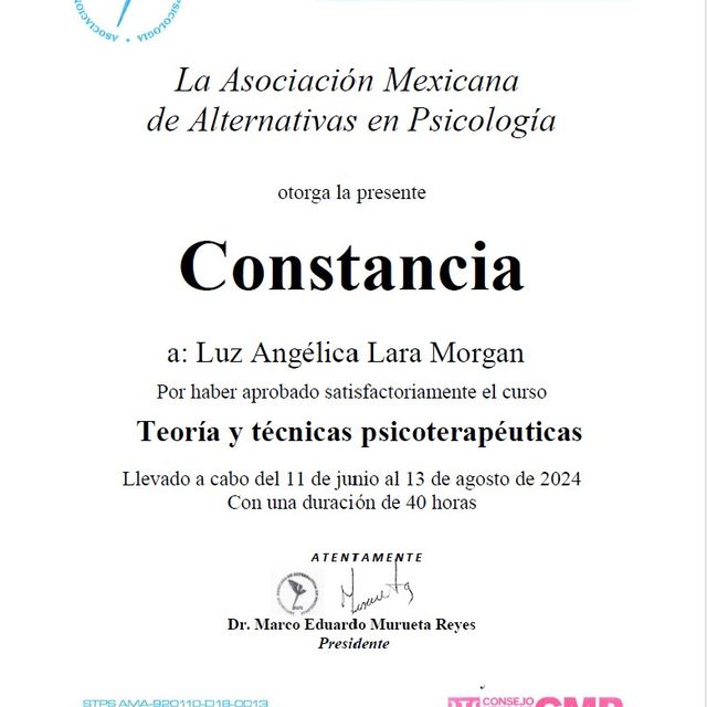 Ampliar imagen: certificate 4
